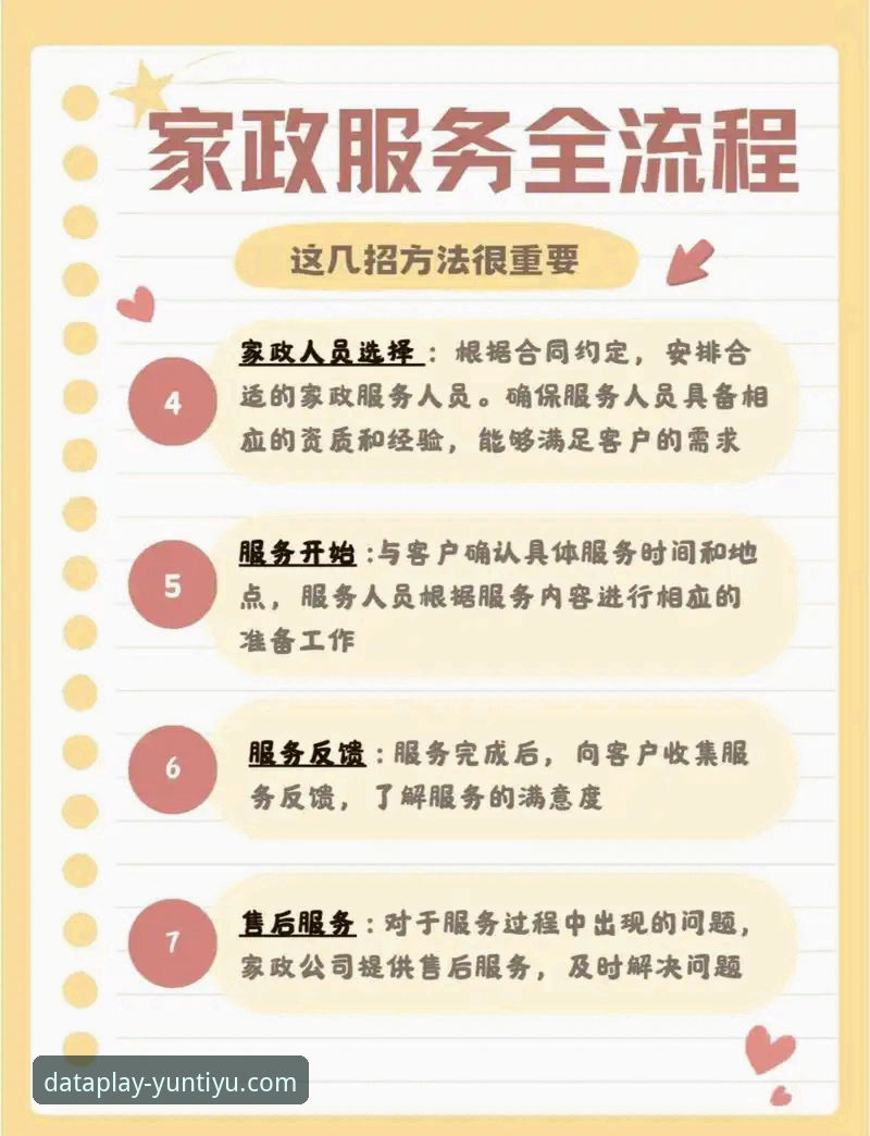 云体育数据分析操作教程：从入门到精通的全流程指南