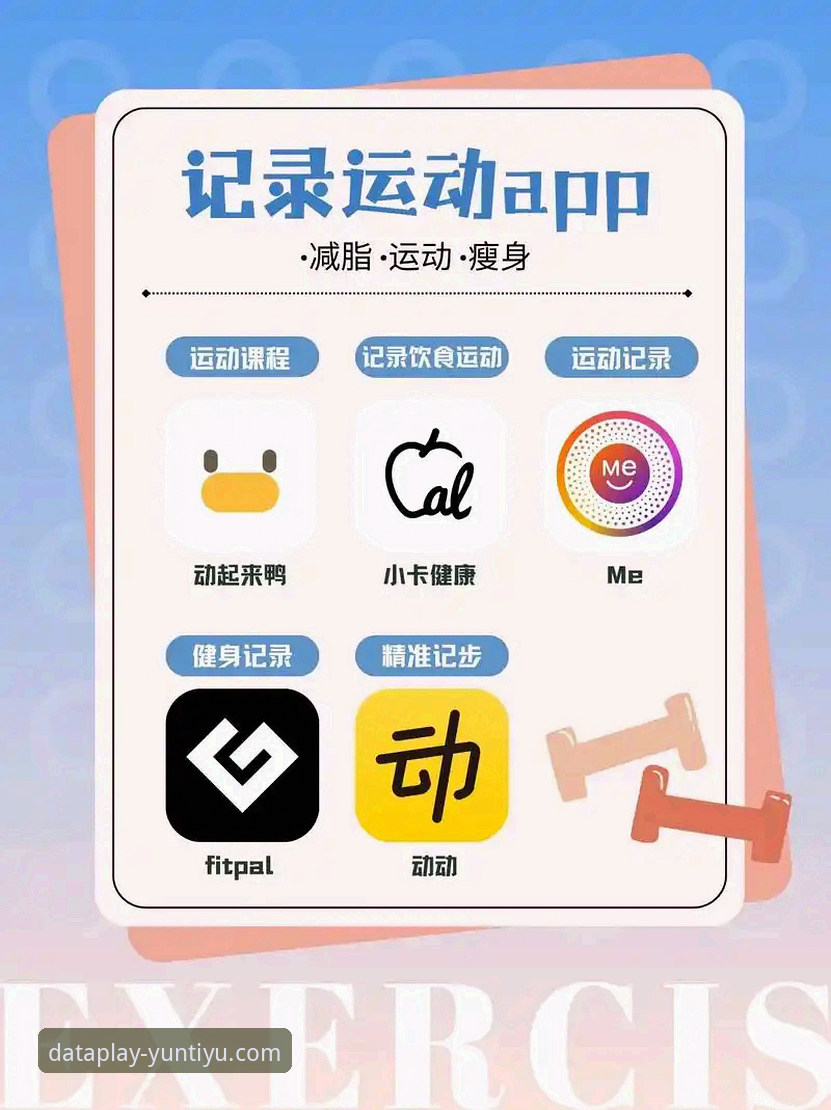 云体育平台5大核心功能介绍，老用户教你3分钟上手运动数据查询指南